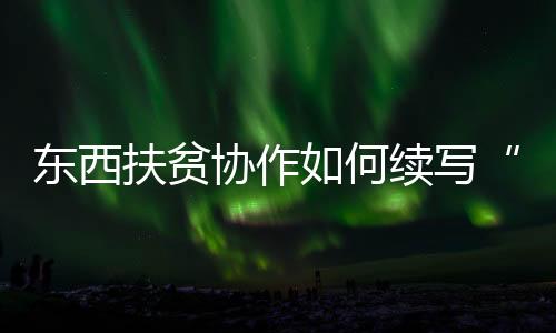 扶贫有些考核偏于项目制考核