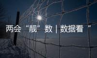 快排公司十年历程，霸屏兔 seo 的崛起与坚守