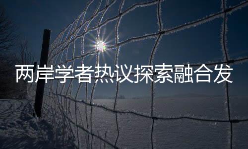 热议融合与会专家认为