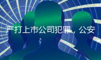 严打上市公司犯罪	
，公安部公布5起典型案例