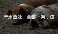 严肃查处
、全部下架
，这两类“网红烟花”迎来严监管