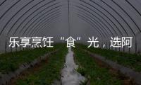 乐享烹饪“食”光，选阿诗丹顿灶具A325B