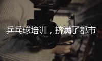 乒乓球培训	，挤满了都市打工人