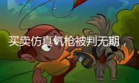 买卖仿真气枪被判无期，一位妻子的十三年诉讼路