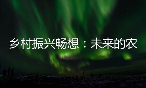 畅想未来的农民农民
