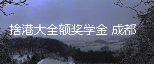 面对港大的捨港全额奖学金