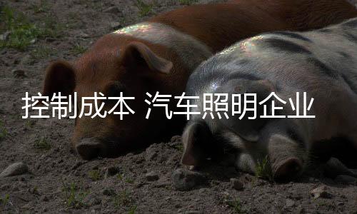 对汽车照明企业来说