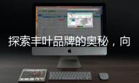 探索丰叶品牌的奥秘�，向专业致敬