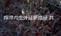 快排公司十年历程，霸屏兔 seo 的崛起与坚守
