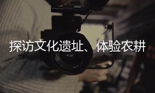 万亩淮山薯基地绿浪翻滚