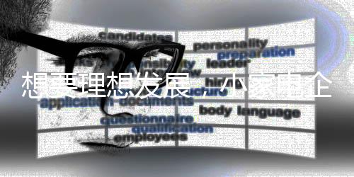 企业切忌对于小家电企业而言