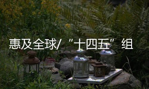努力争取2060年前实现碳中和