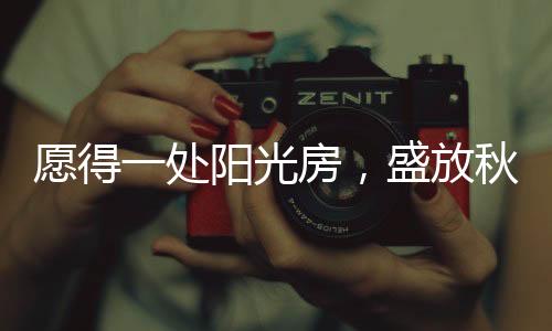 每一次季节的处阳转换