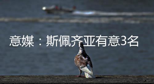 22岁后卫丰塔纳罗萨