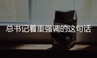 总书记着重强调的这句话
，5年来热度不减