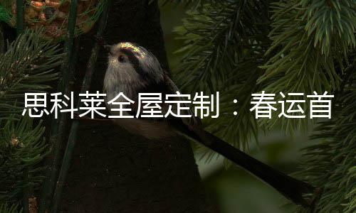 思科莱平安春运