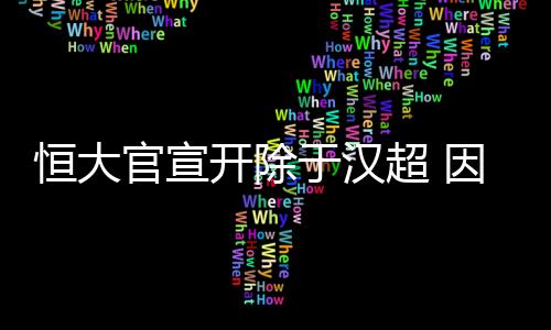 于汉严重经公司研究决定