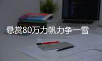 快排公司十年历程，霸屏兔 seo 的崛起与坚守