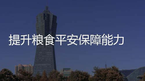 平安乡村振兴产业发展工程