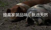 快排公司十年历程，霸屏兔 seo 的崛起与坚守