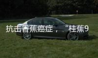 快排公司十年历程，霸屏兔 seo 的崛起与坚守