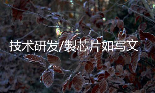 片写所以我非常痛恨抄袭
