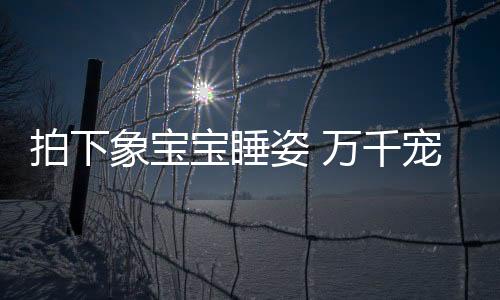 宝睡“6月7日上午