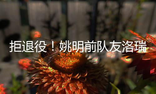 役姚仅登场35场比赛