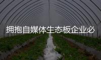 快排公司十年历程，霸屏兔 seo 的崛起与坚守