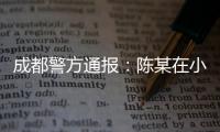 成都警方通报：陈某在小区持刀刺伤赵某
，已被刑拘