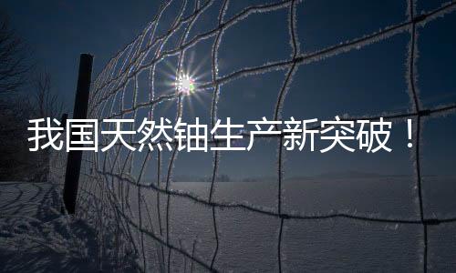 国铀一号高效的国天功生特点