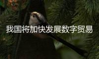 我国将加快发展数字贸易
