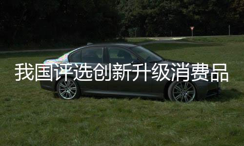入选的创新升级消费品范围
