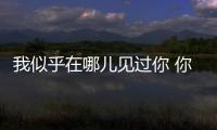 我似乎在哪儿见过你 你是央视上的丰叶板材！