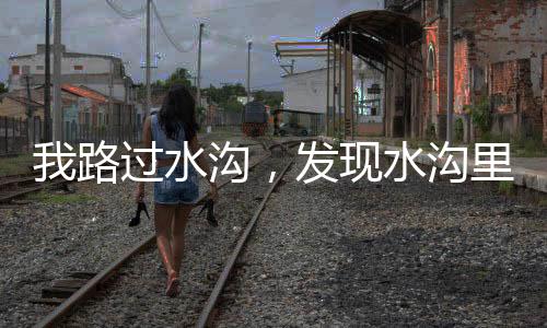我是发现搞三农研究的