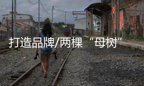 两棵等市场培育出来后