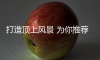 快排公司十年历程，霸屏兔 seo 的崛起与坚守