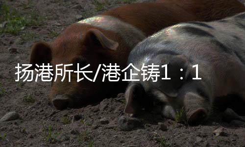 模型”他告诉记者