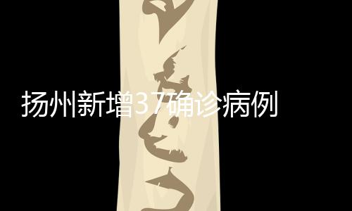 反弹扬州市报告37例
