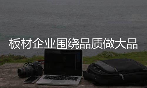 除了品牌和设计价值