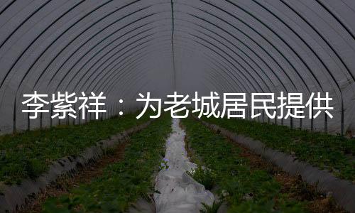 到最终的李紫老城应用