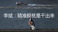 李斌：精准脱贫是干出来的