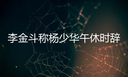 华午更何况94岁的辞世老人