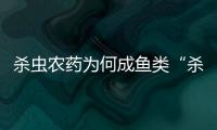 杀虫农药为何成鱼类“杀手”？投放到水域后有何危害？