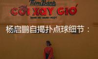 快排公司十年历程，霸屏兔 seo 的崛起与坚守