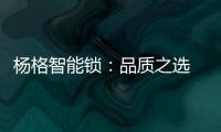 杨格智能锁：品质之选 腾讯QQfamily智能门锁独家供应商