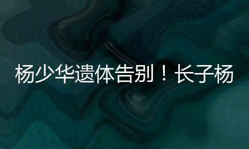 作为杨家的体告长子