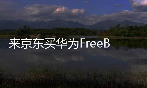 买华免息以及快充5分钟