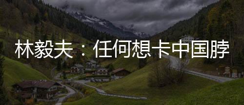何想会加林毅夫表示