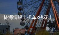 林海情缘丨机车x桃花！林芝上演318国道最燃春色